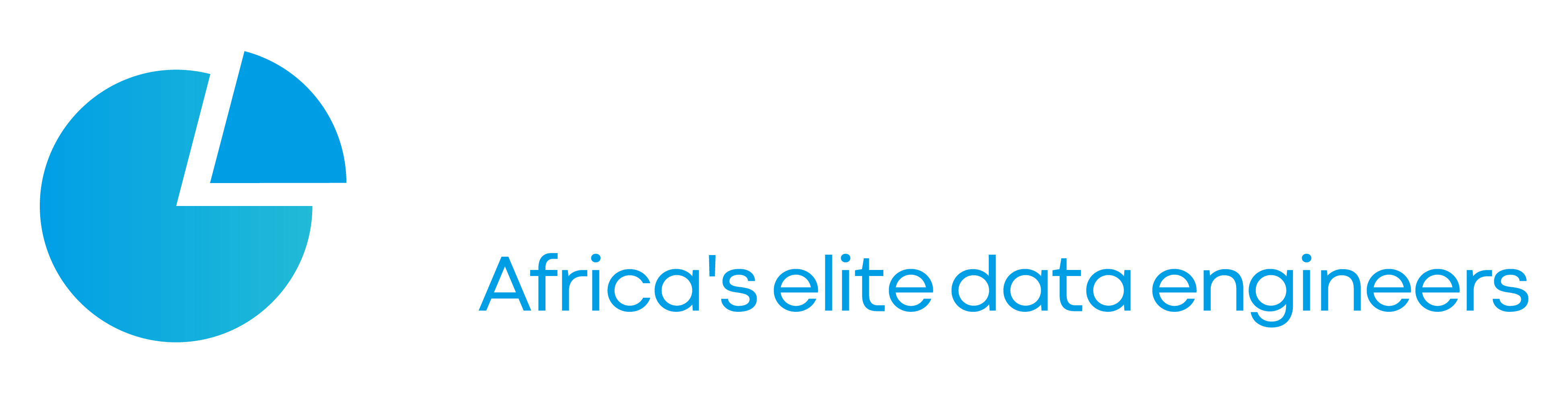 Datacam logo